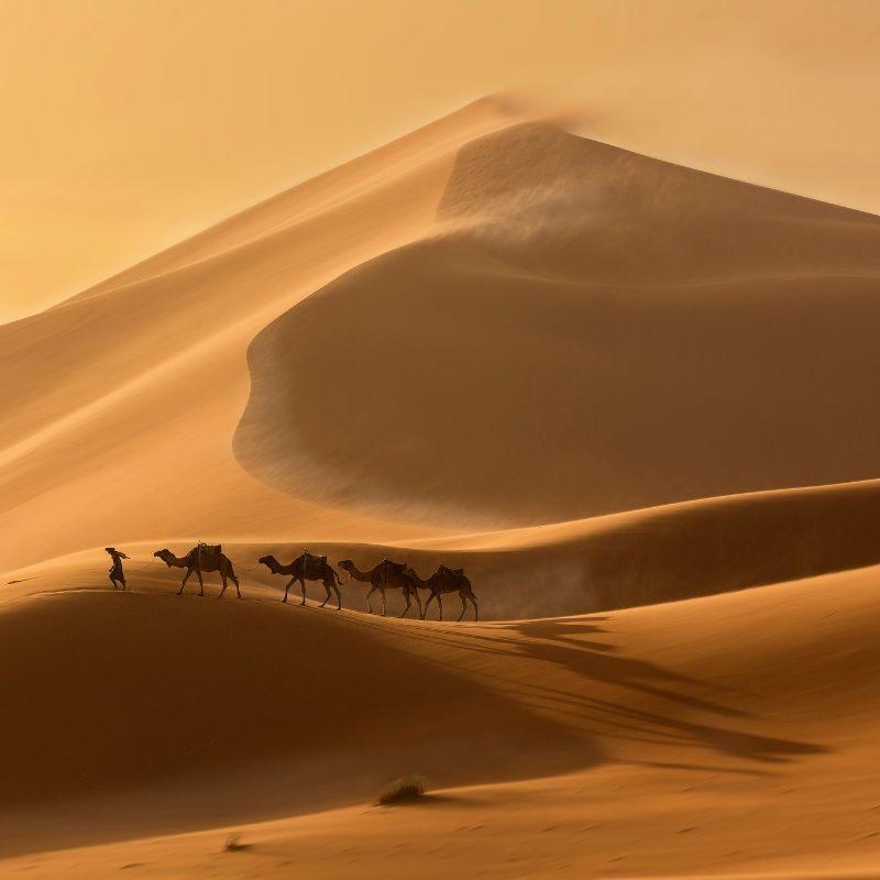 shifting-sands-800x800-1-aspect-ratio-800-800